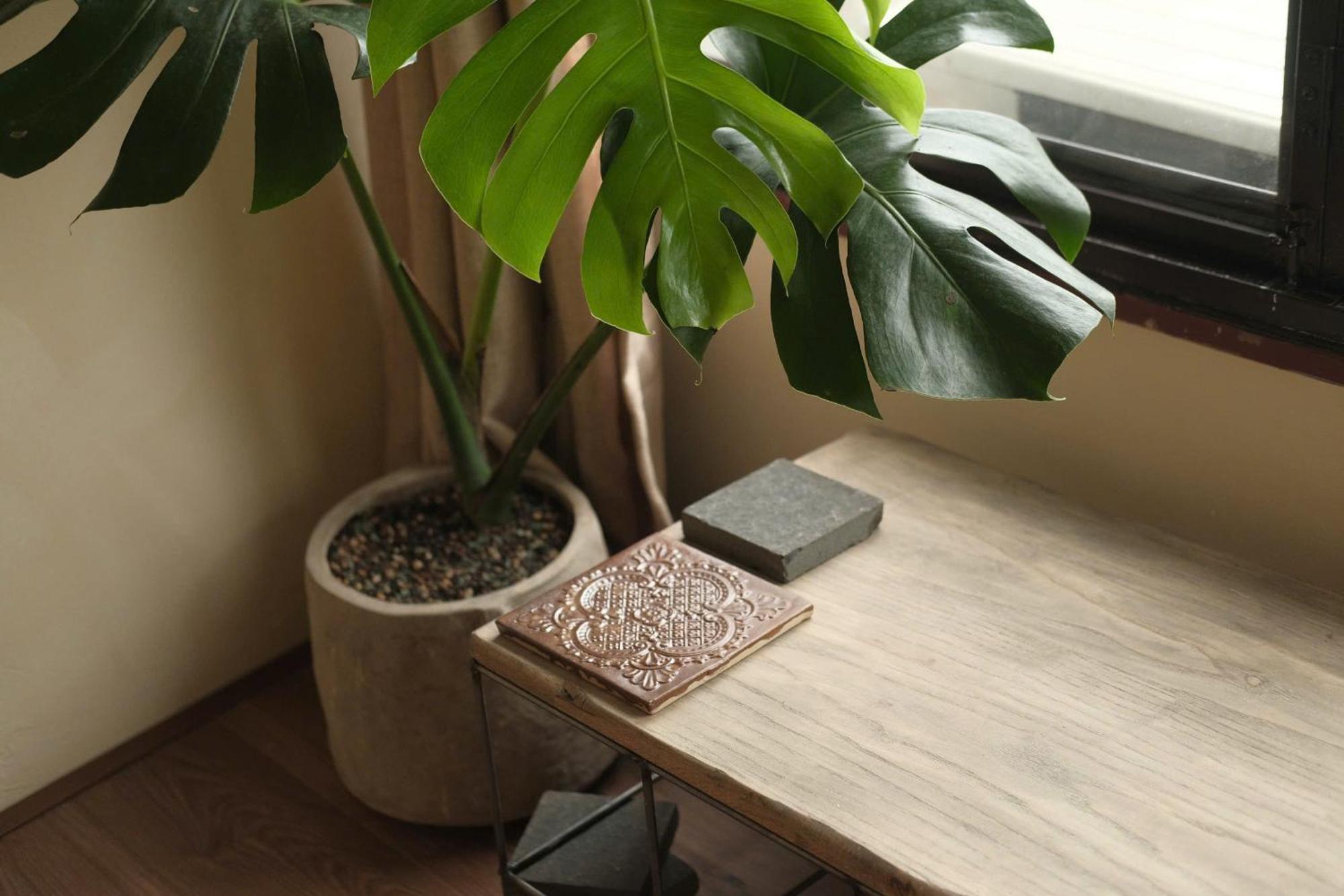 3o5 Space Apartment *